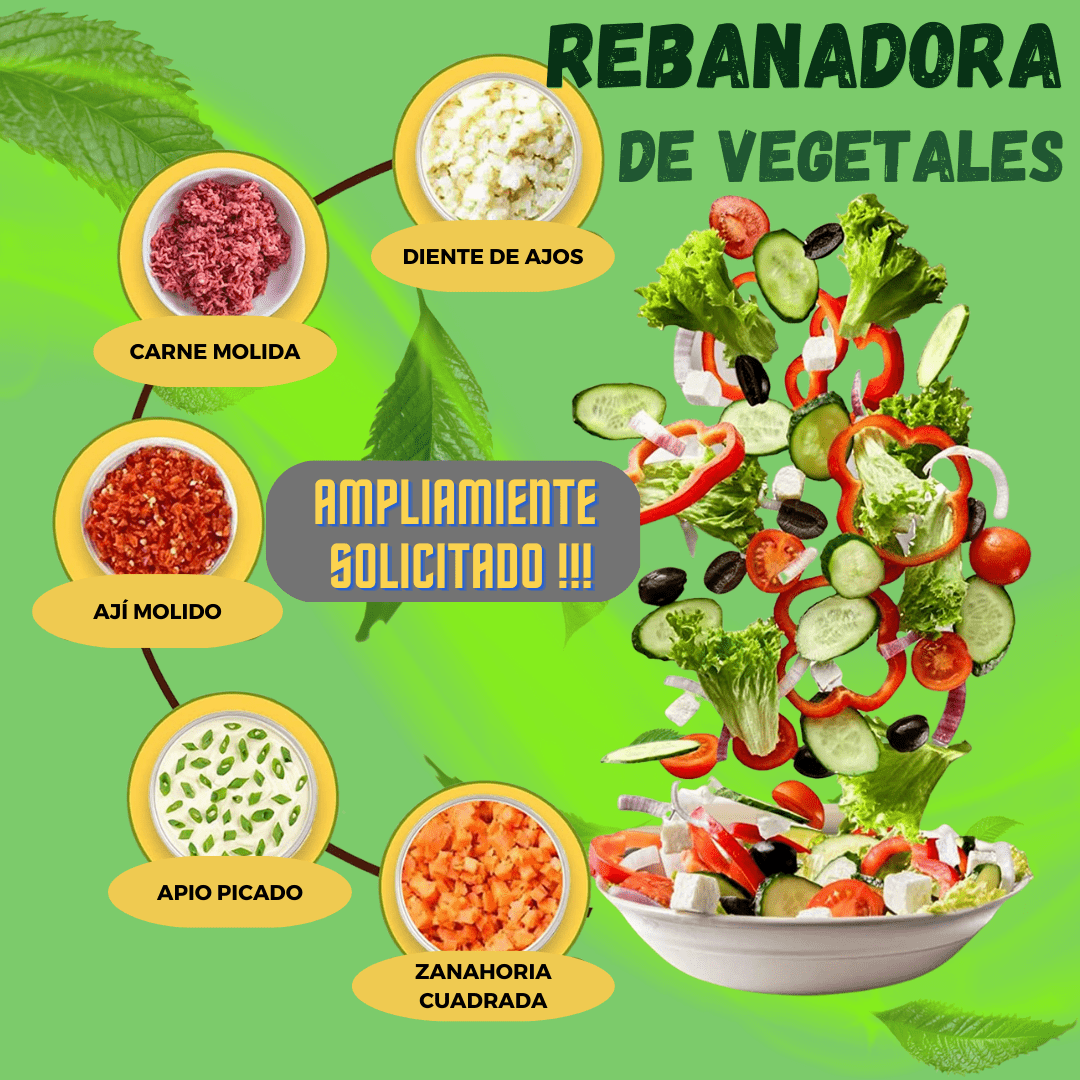 PICATODO REBANADOR DE VERDURAS PRO 4 EN 1 DShopping 